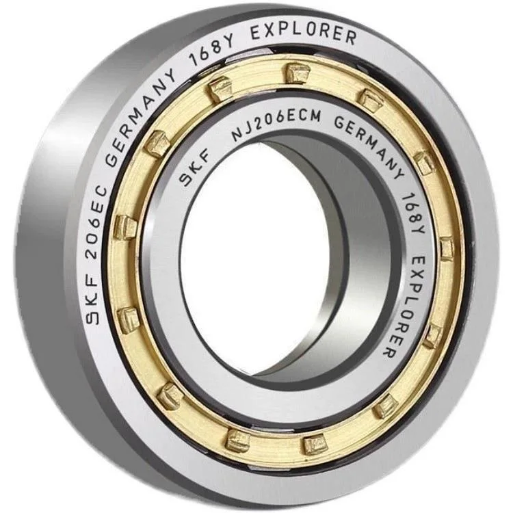 Roller Bearingskfnu304 Ecp/C3//Cylindrical Roller Bearing/Rolling Bearing/Ball Bearing